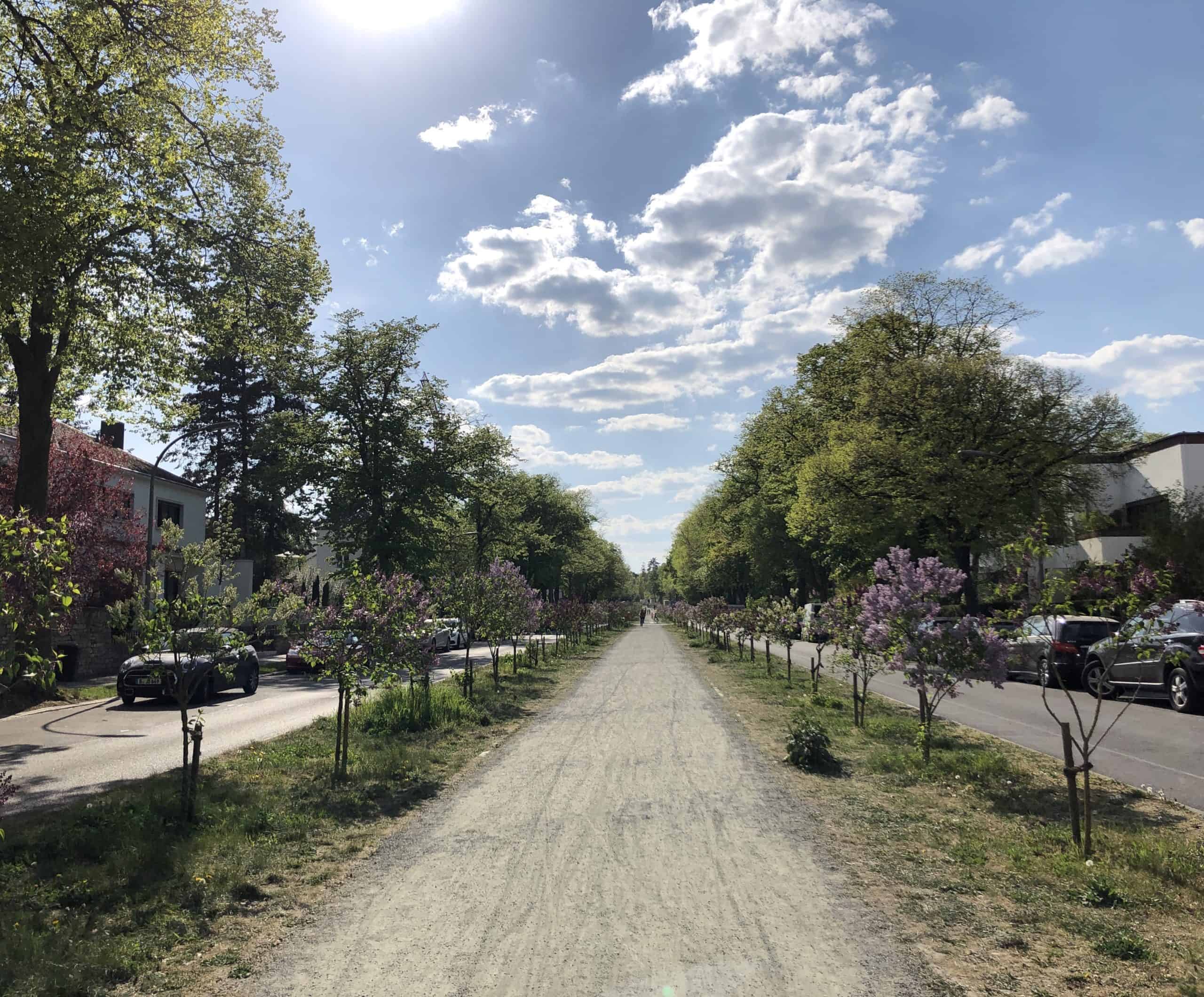 Schorlemmerallee